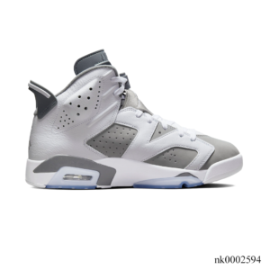 AJ 6 Cool Grey