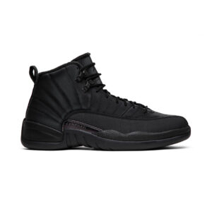 AJ 12 Retro Winterized Triple Black