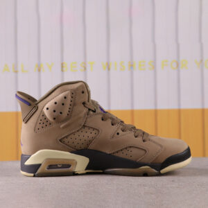 Air Jordan 6 Retro GORE-TEX 'Brown Kelp'
