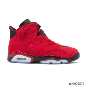AJ 6 Retro Toro Bravo